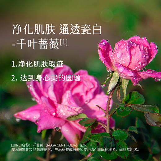 枕草子 | 四季香露之“春”——指间花瓣玫瑰花露，红白玫瑰 “补水”花露 商品图3