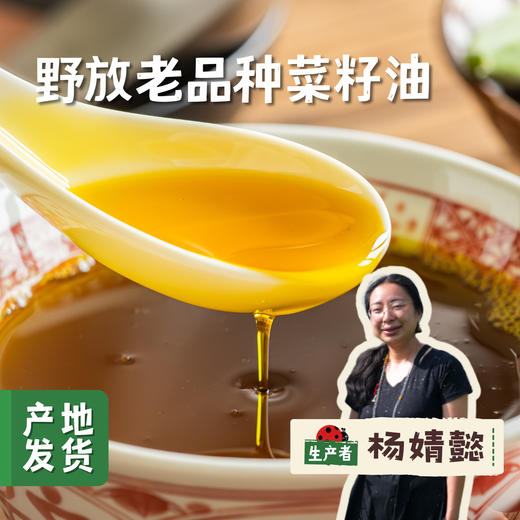 野放老品种菜籽油 2.5L | 合作农友生产，来自贵州贵阳，生产者：杨婧懿 *【公平贸易农人定价】 商品图0