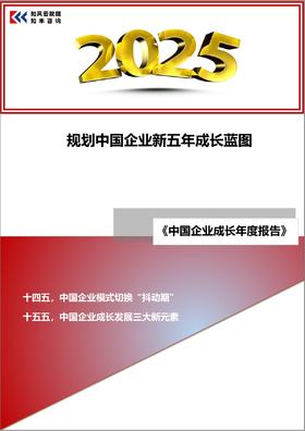 2025，规划中国企业新五年成长蓝图