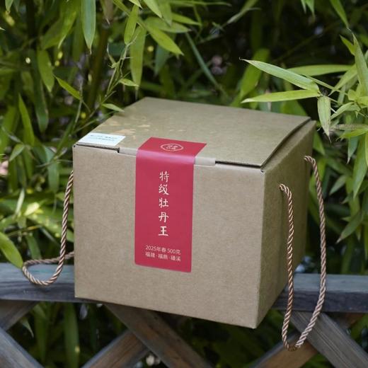 2025特级牡丹王 商品图0