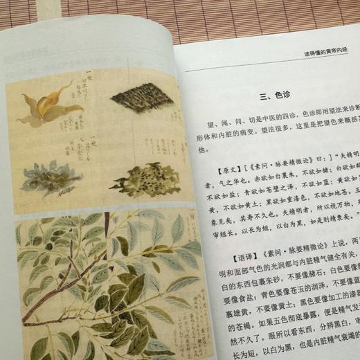 《写给中国人的国医三书》《写给中国人的中医三书》（全6册）中医大师中的大师，经典中的经典，中医养生套餐！ 商品图9