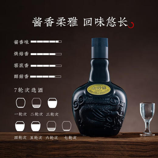 53度珍酒·老珍酒 500ml 单瓶 商品图5