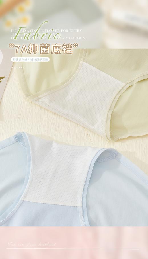 女士彩色腰头撞色无缝内裤3293 商品图3