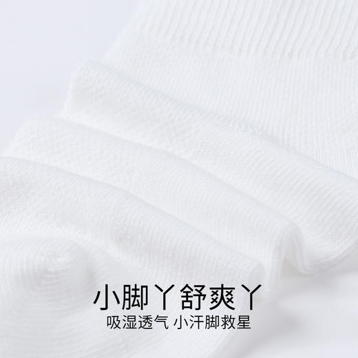 【实体店同款】男女童短袜两双装秋季新款安奈儿童装JM537008 商品图3