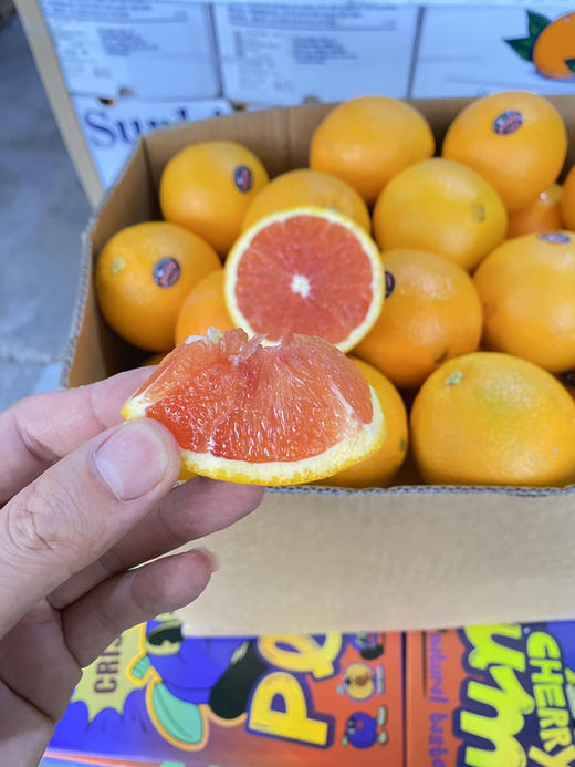 【 血橙】澳大利亚血橙，功能型水果，酸甜适宜，维生素比普通橙子多！ 商品图4