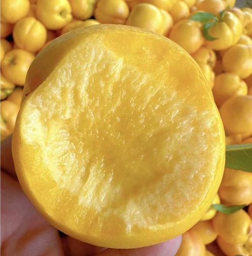 黄油桃 商品图2