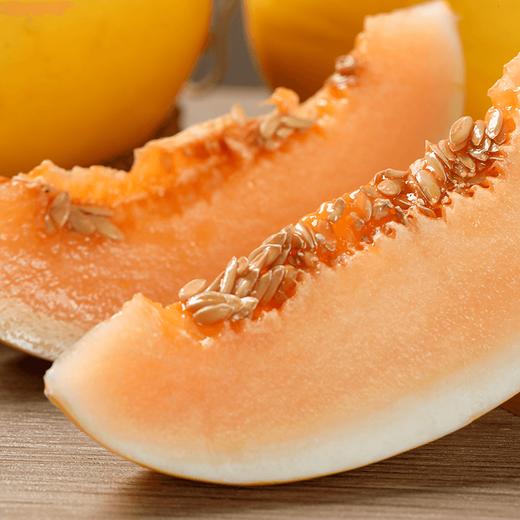 【社群专享】陕西民勤蜜瓜 芳香浓郁 肉厚多汁 商品图1