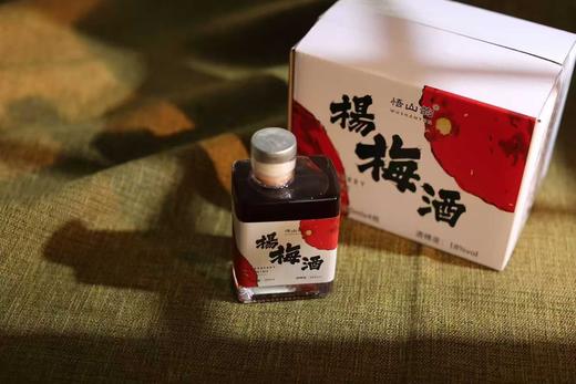 仙居东魁杨梅酒礼盒装聚会野营佐餐酒酸甜开胃 商品图1