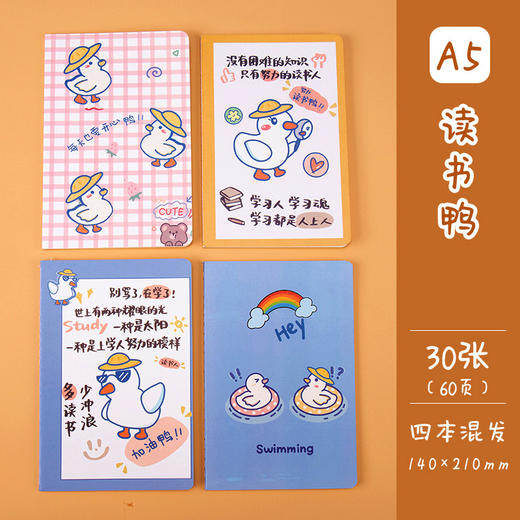 车线本A5办公记事本学生文具课堂笔记本 ins少女心日记本 1本 商品图5