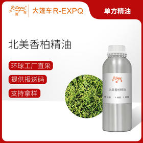 北美香柏精油 Thuja Occidentalis 法国直采 原料批发 大篷车精油