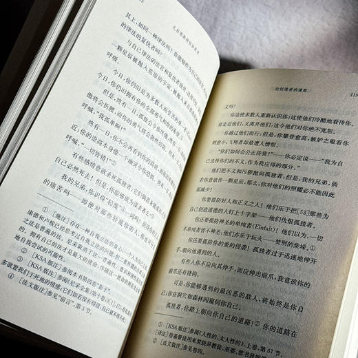 扎拉图斯特拉如是说 尼采全集 注疏版 函套精装版 娄林译 西方现代哲学 商品图11