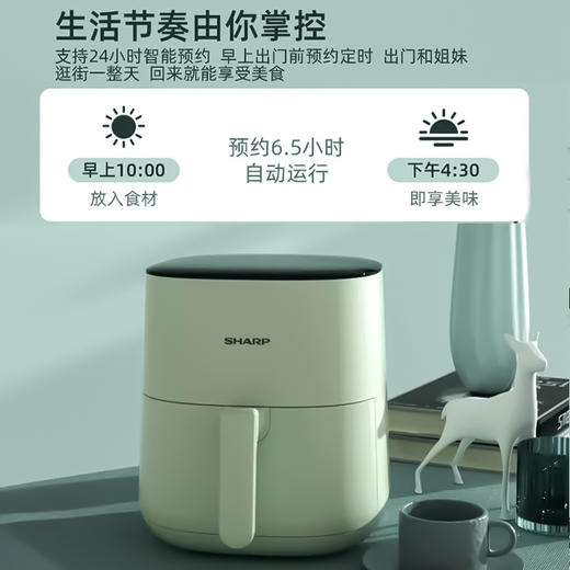 夏普电烤炉（空气炸锅）KF-AF-E50DK-G 商品图2