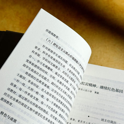 优秀班主任的带班育人方略 王振刚 大夏书系 班主任培训用书 商品图11