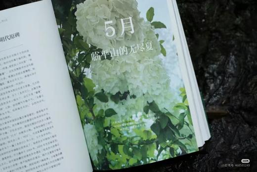 走，爬山去 商品图3