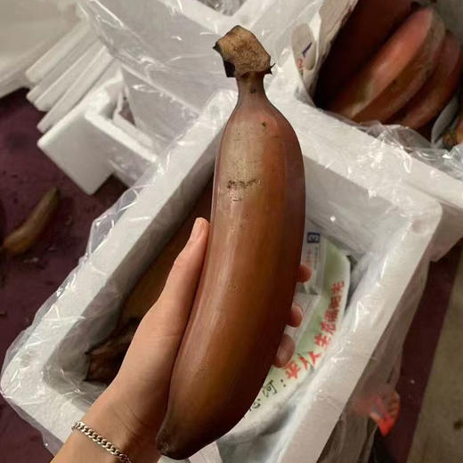 福建红皮美人蕉软糯香甜高品质 商品图5