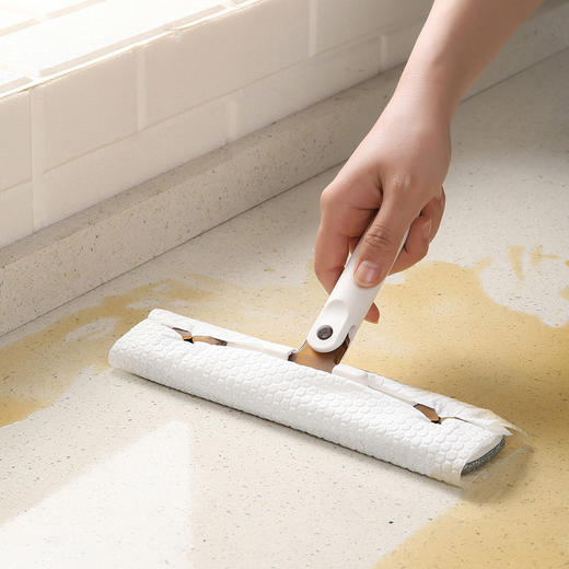 【批发】美丽雅 两用型清洁器（纱窗擦、拖把） 商品图7