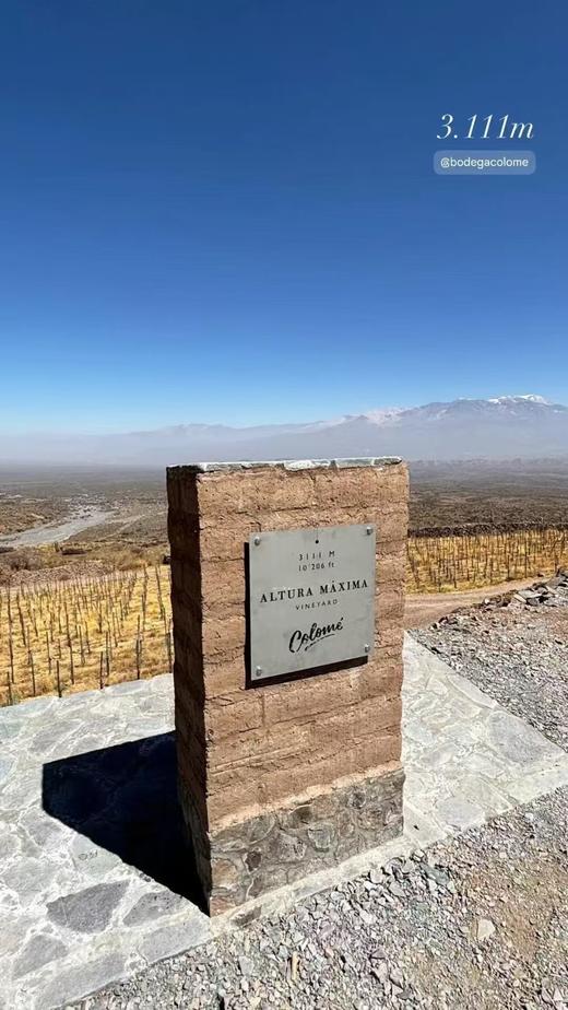 【Colomé】佳乐美世界之巅长相思干白 高分酒 来自全球海拔醉 高的阿根廷3111米葡萄园 少量出口中国配额  彰显品质与攀登高峰的决心和精神 年份随机发货 偏远地区不发或联系客服 商品图7