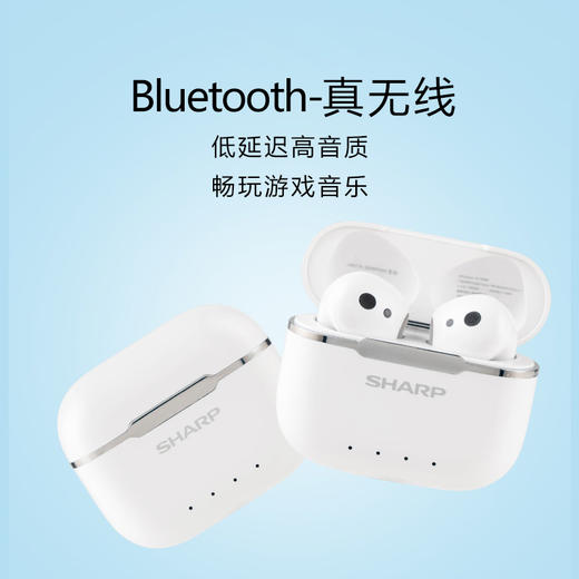 夏普真无线蓝牙耳机HP-TW40H 商品图1