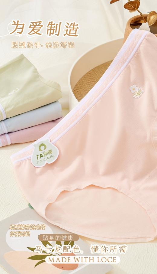 女士彩色腰头撞色无缝内裤3293 商品图2