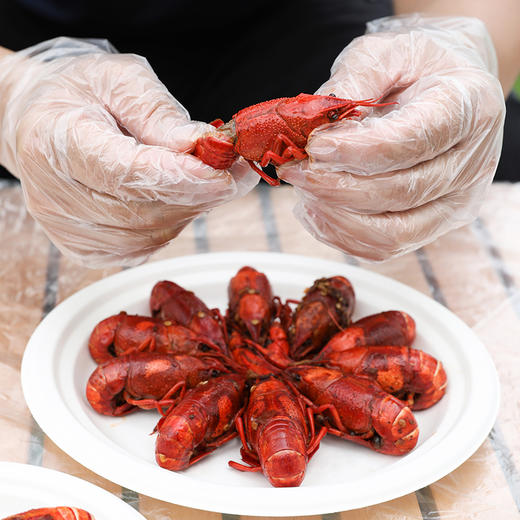 【批发】美丽雅一次性餐具组合餐具套装10人份/袋 商品图9