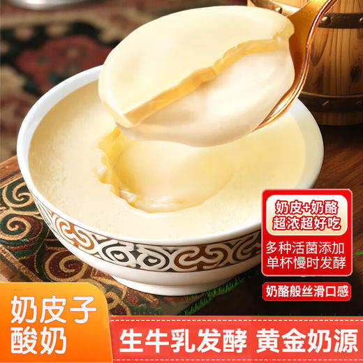 奶皮子酸奶，12盒装，甄选内蒙古大草原黄金奶源，传统单罐发酵工艺，奶皮子奶香浓郁，酸奶丝滑棉柔，酸甜可口，配料简单干净，营养丰富全家人都爱吃M 商品图0