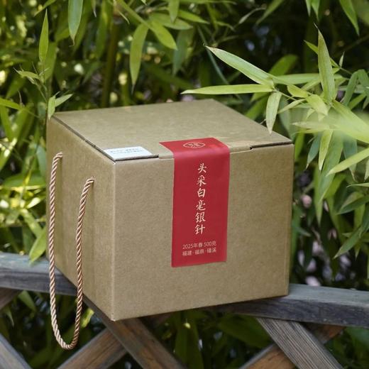 2025头采白毫银针 商品图1