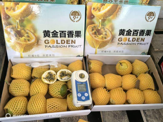 【聚划算】19.9元 黄金百香果（一件） 商品图2