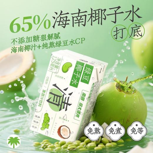 【海南老字号】南国绿色椰子水/红豆薏米椰子水/100%椰子水 商品图2