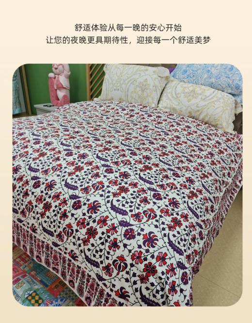 【爆款】CIELTOWN/夏尔小镇红色缠枝桑蚕丝被空调被可水洗夏被 商品图2