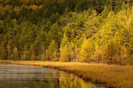 秋韵小兴安岭摄影6天:伊春·茅兰沟·五营·金祖峰·大箐山·乌带公路 商品图8