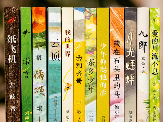 新蕾原创儿童文学宝藏（全12册）| 专为8-14岁中国孩子打造的国宝级文学经典 商品图4