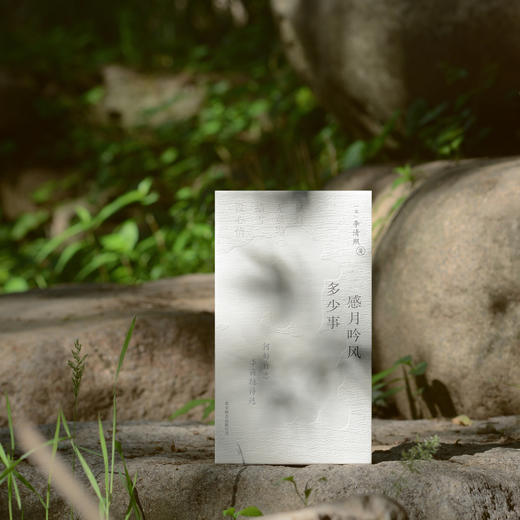 《何妨自恋：李商隐诗选李清照词选》  |  精装全两册 赠四张情诗笺纸 商品图6