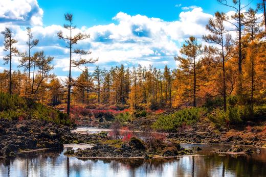 秋韵小兴安岭摄影6天:伊春·茅兰沟·五营·金祖峰·大箐山·乌带公路 商品图10