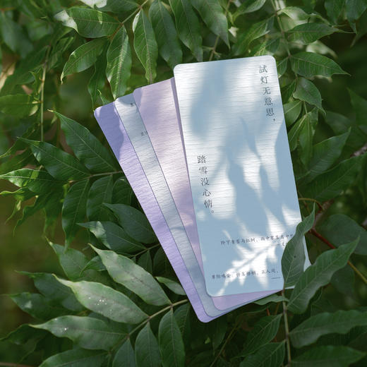 《何妨自恋：李商隐诗选李清照词选》  |  精装全两册 赠四张情诗笺纸 商品图7