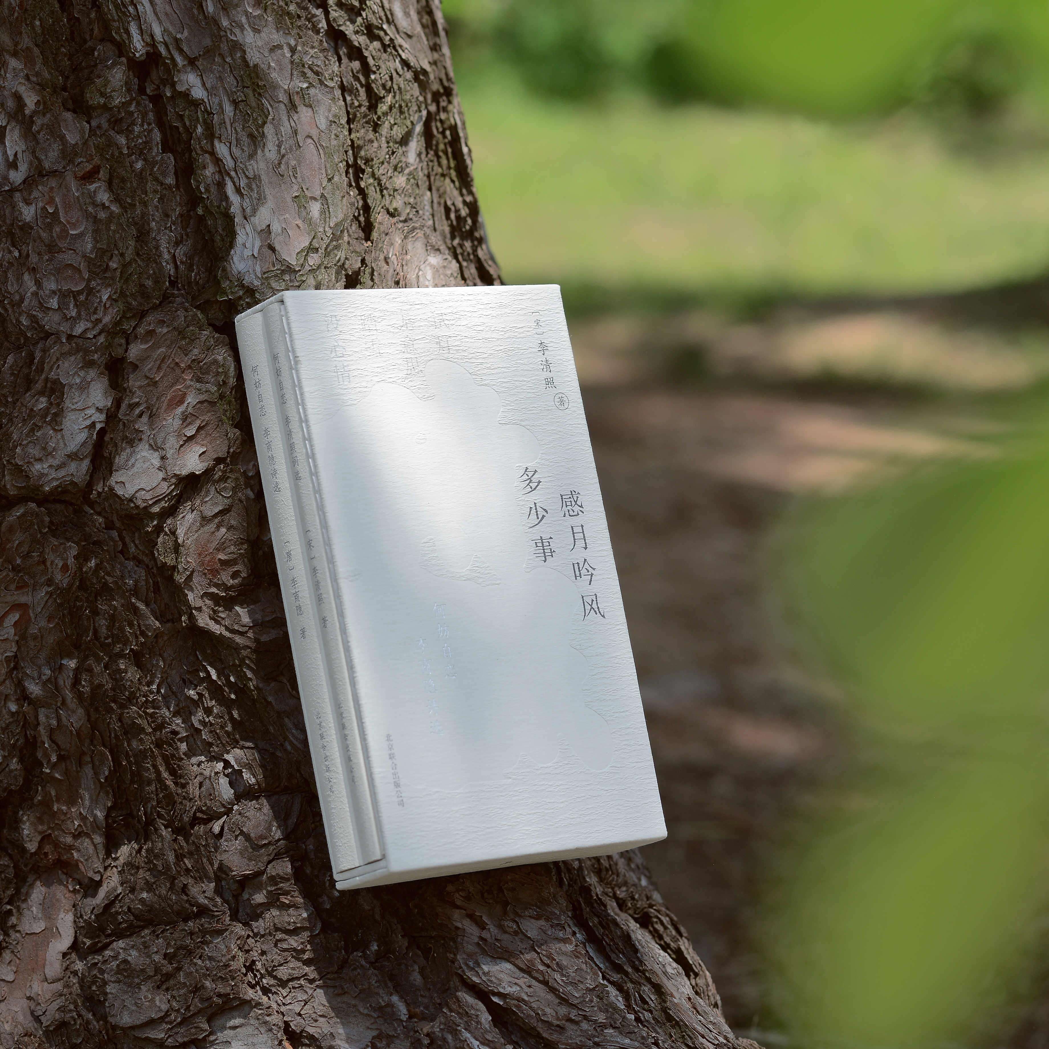 《何妨自恋：李商隐诗选李清照词选》  |  精装全两册 赠四张情诗笺纸