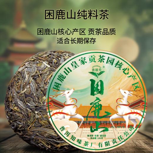2025春茶 吉顺号困鹿山春茶乔木茶醇料普洱茶生茶饼100克 商品图1