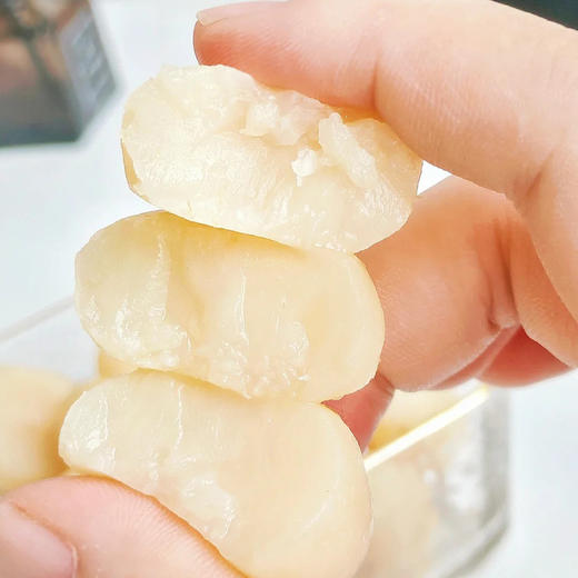 【1件包邮】广西桂林马蹄100g/10袋 清脆爽口多汁 配料干净 清甜不腻 商品图1