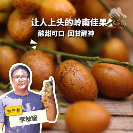 生态黄皮 | 合作生产 *Eco-wampe | Coproduction 商品图0