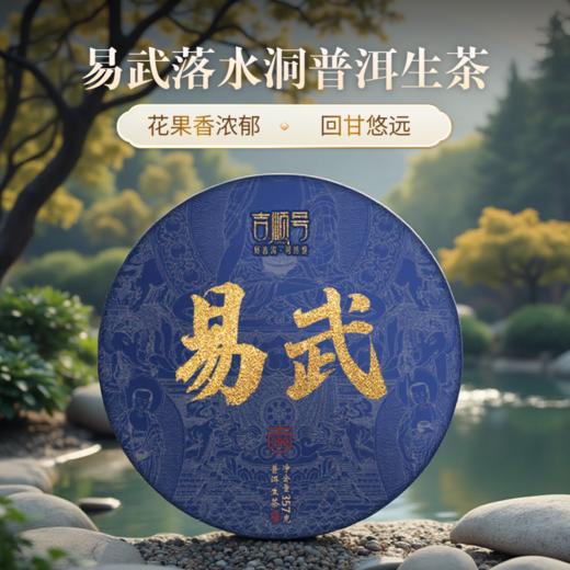 第2份半价！2022春茶易武古茶落水洞生茶饼357g/饼 商品图0