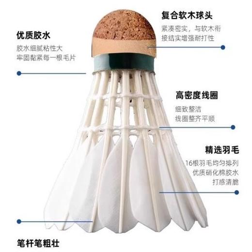 文杰 羽毛球 比赛用球 特级干拔鷀鸪鸭毛 商品图4