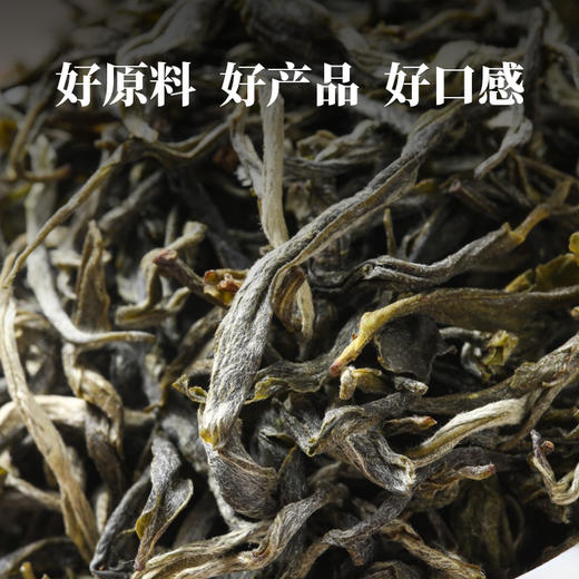 凤宁号【有机古树绿茶】250克/盒 商品图2