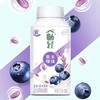 伊利畅轻益生菌风味发酵乳（蓝莓+紫米爆珠）250g*1 商品缩略图2