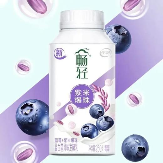 伊利畅轻益生菌风味发酵乳（蓝莓+紫米爆珠）250g*1 商品图2
