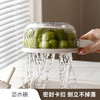 脱水洗菜篮折叠手柄带盖沥水可开关洗水果蔬菜保鲜盒沥水碗 商品缩略图2