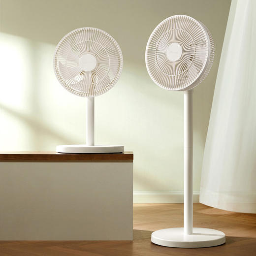  小熊（Bear）台地两用电风扇 DFS-D43F3 商品图1