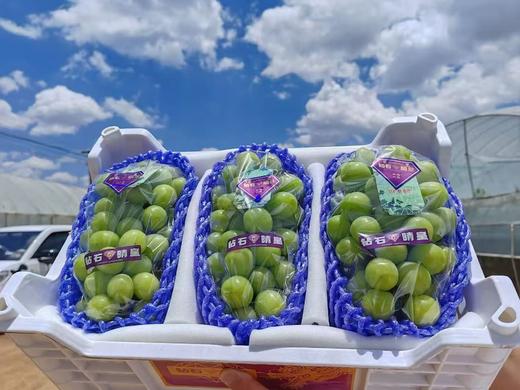 【会员32.5/斤】云南钻石晴皇阳光玫瑰青提 特级 商品图0