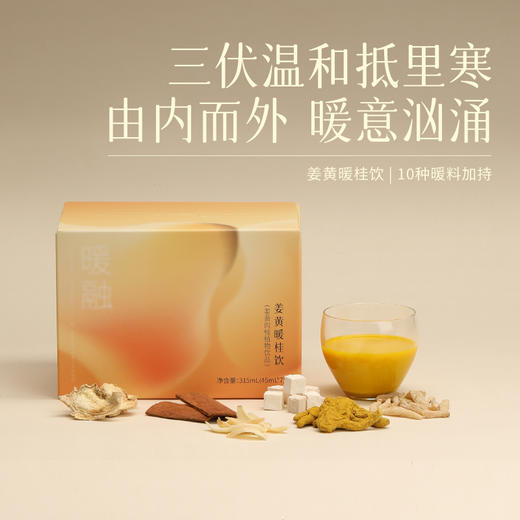 【姜黄暖桂饮】  陈皮麦冬铁皮石斛由给身体内而外的暖浓缩提取植物饮 商品图1