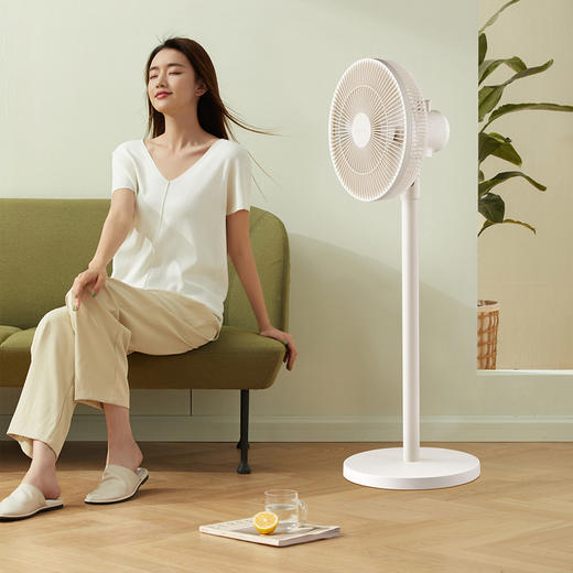  小熊（Bear）台地两用电风扇 DFS-D43F3 商品图2