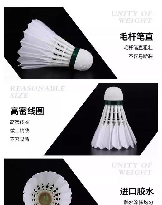 文杰 羽毛球 比赛用球 特级干拔鷀鸪鸭毛 商品图2