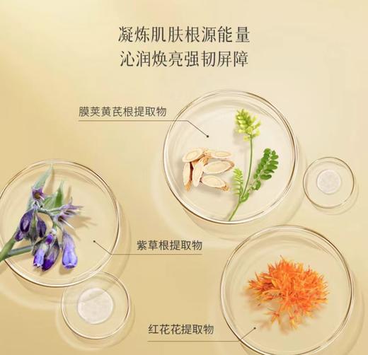 春娟黄芪养颜霜40g 商品图2